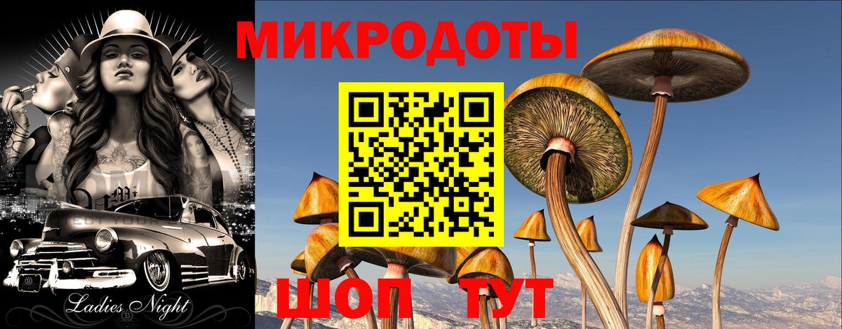 Псилоцибиновые грибы Psilocybe  Вход с VPN  Железногорск 