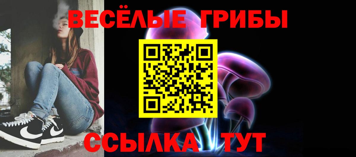 Галлюциногенные грибы Cubensis Железногорск